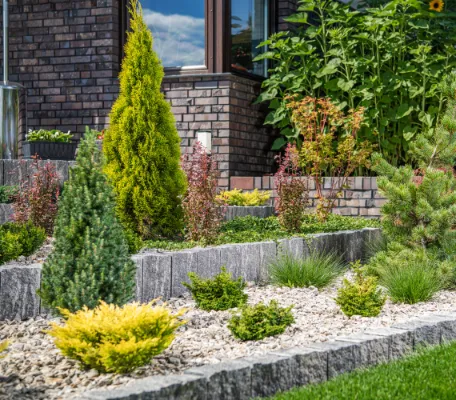 Flowerbed with small pine trees lined with bricks and stones.