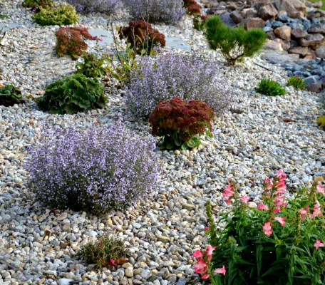 Flower bed filled in with pea gravel.