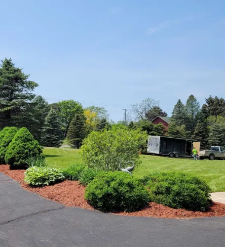 Landscaped flowerbed with shrubs and fresh red mulch.